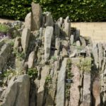 Como e por que cultivar um jardim em fendas