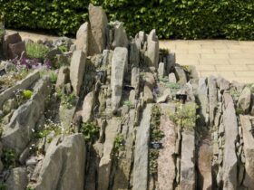 Como e por que cultivar um jardim em fendas