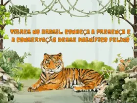 Orange and Green Illustrated Water Colour International Tigers Day Presentation